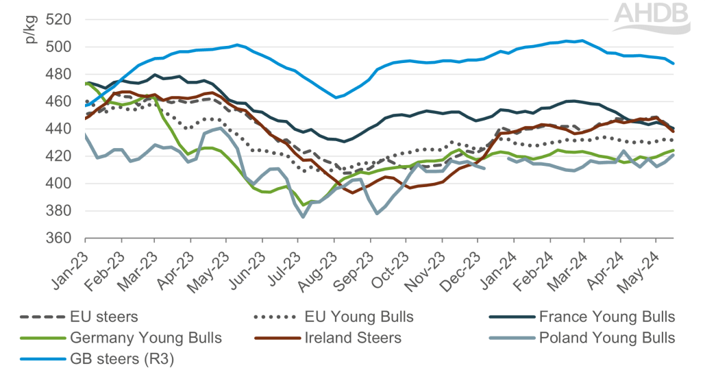 Chart showing weekly evolution of EU cattle prices